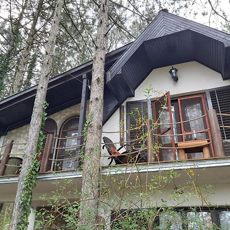 Guesthouse Bajka Vinci Szoba fotó