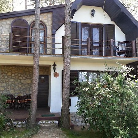 Guesthouse Bajka Vinci Kültér fotó