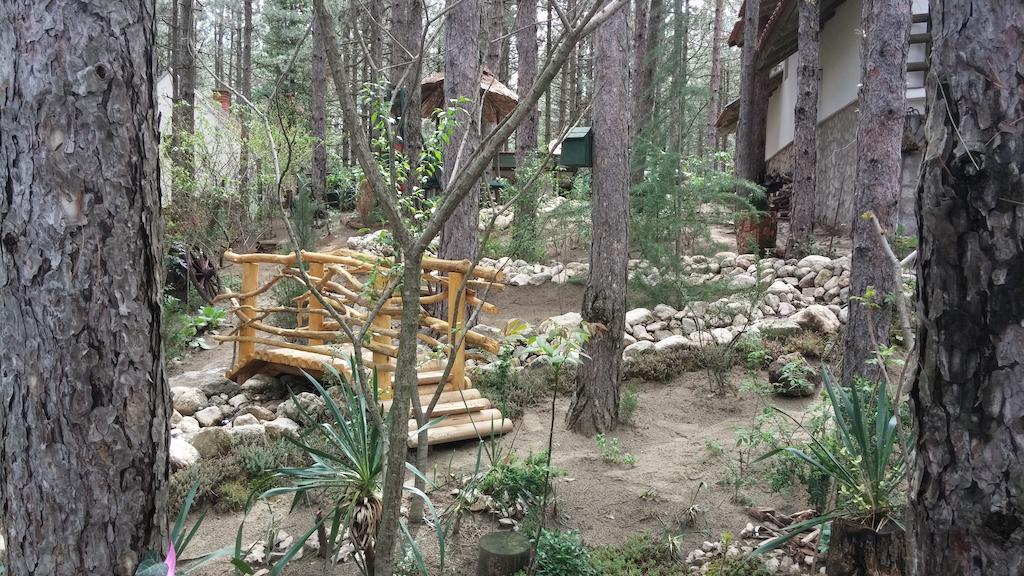 Guesthouse Bajka Vinci Kültér fotó