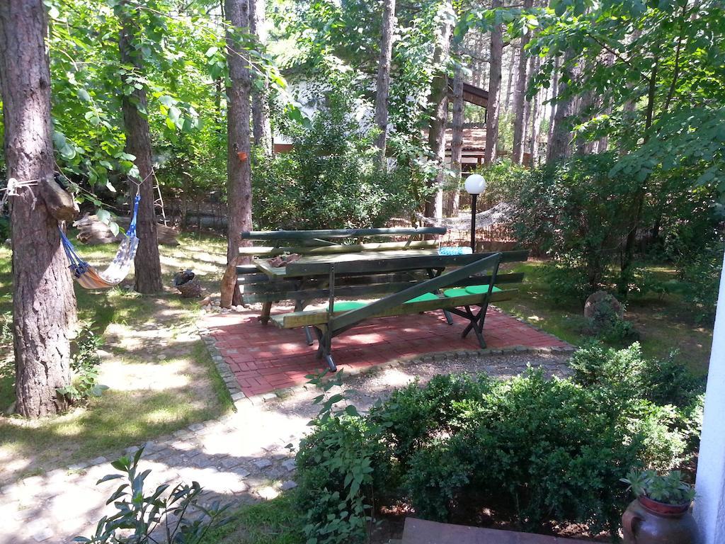 Guesthouse Bajka Vinci Kültér fotó