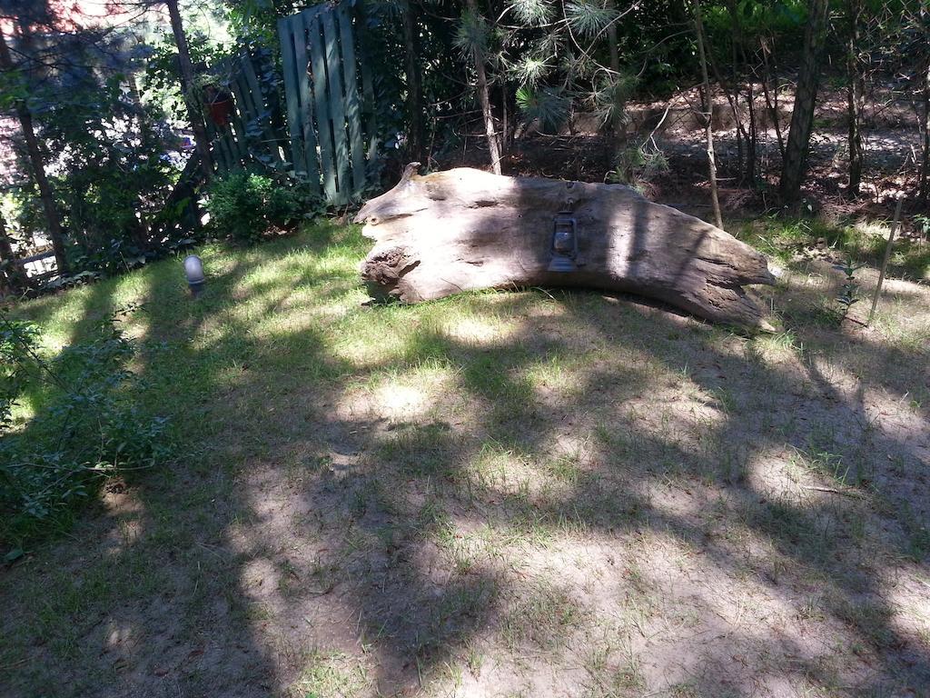 Guesthouse Bajka Vinci Kültér fotó