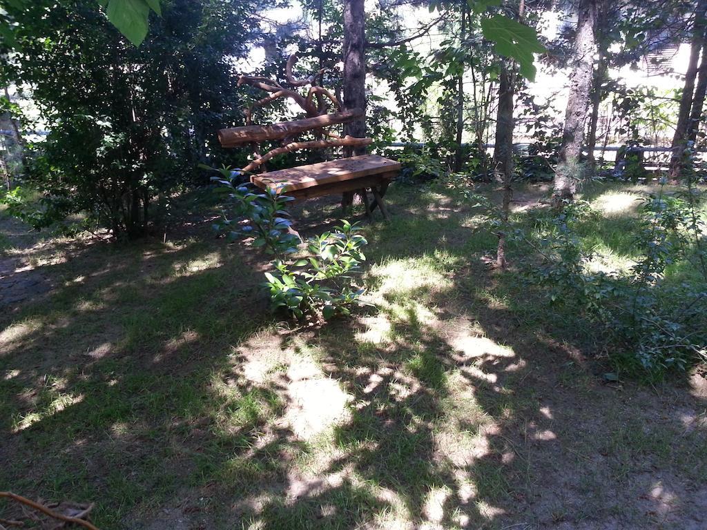 Guesthouse Bajka Vinci Kültér fotó