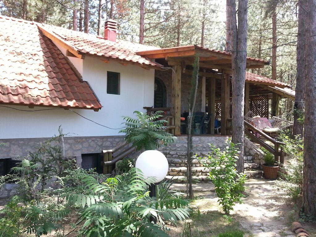 Guesthouse Bajka Vinci Kültér fotó