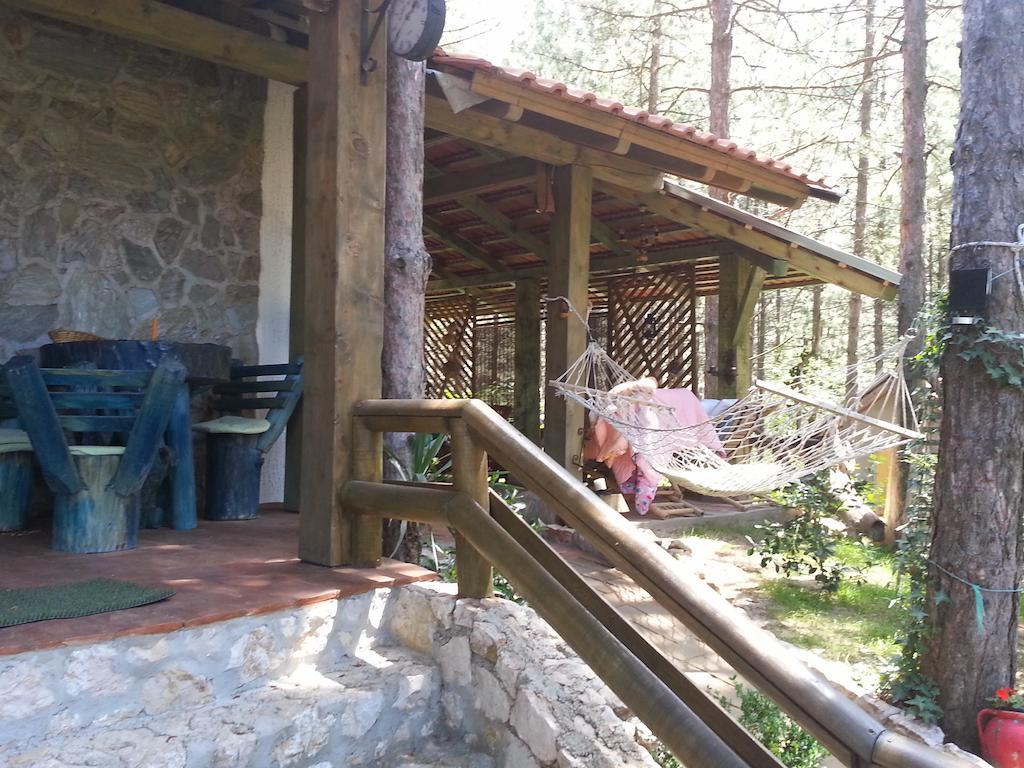 Guesthouse Bajka Vinci Kültér fotó