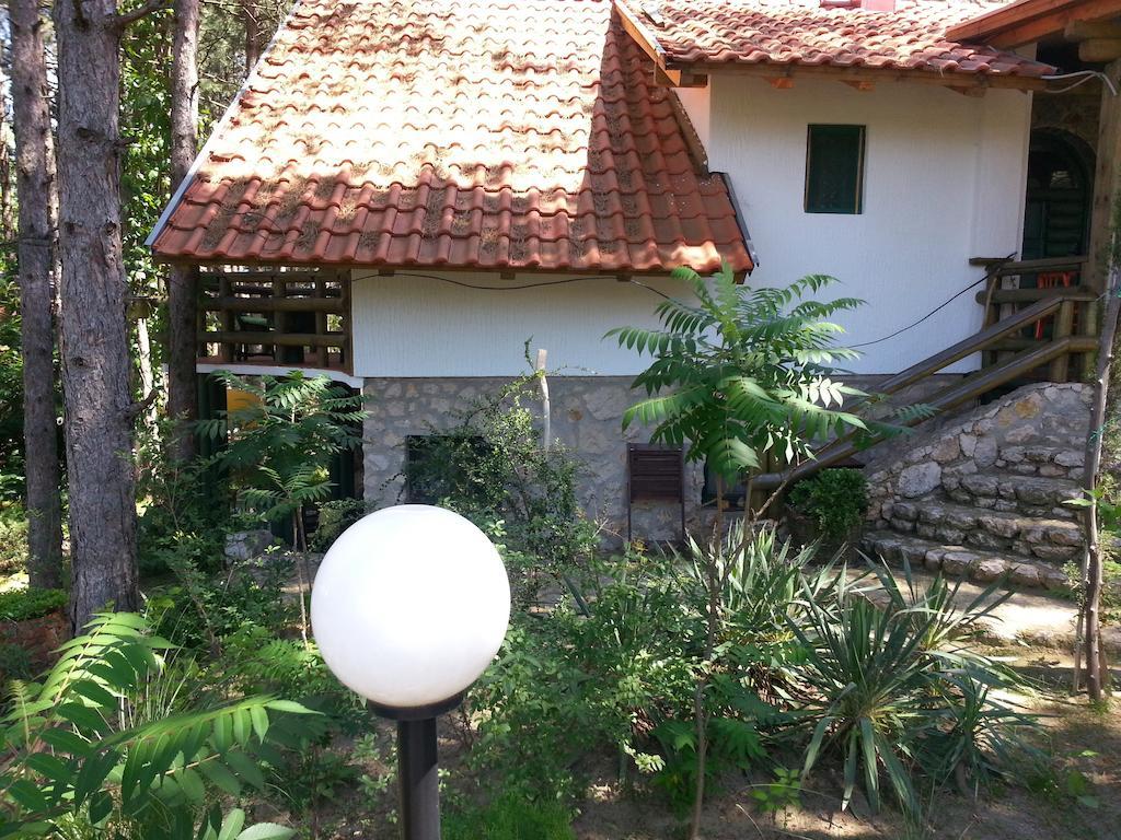 Guesthouse Bajka Vinci Kültér fotó