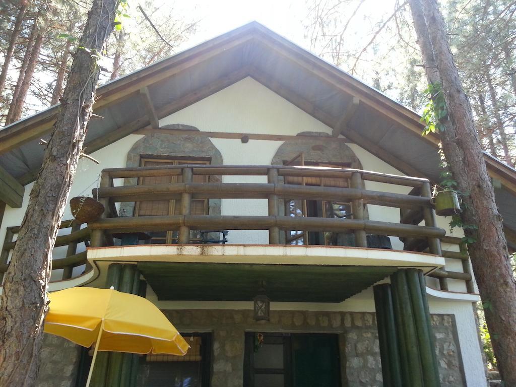 Guesthouse Bajka Vinci Kültér fotó
