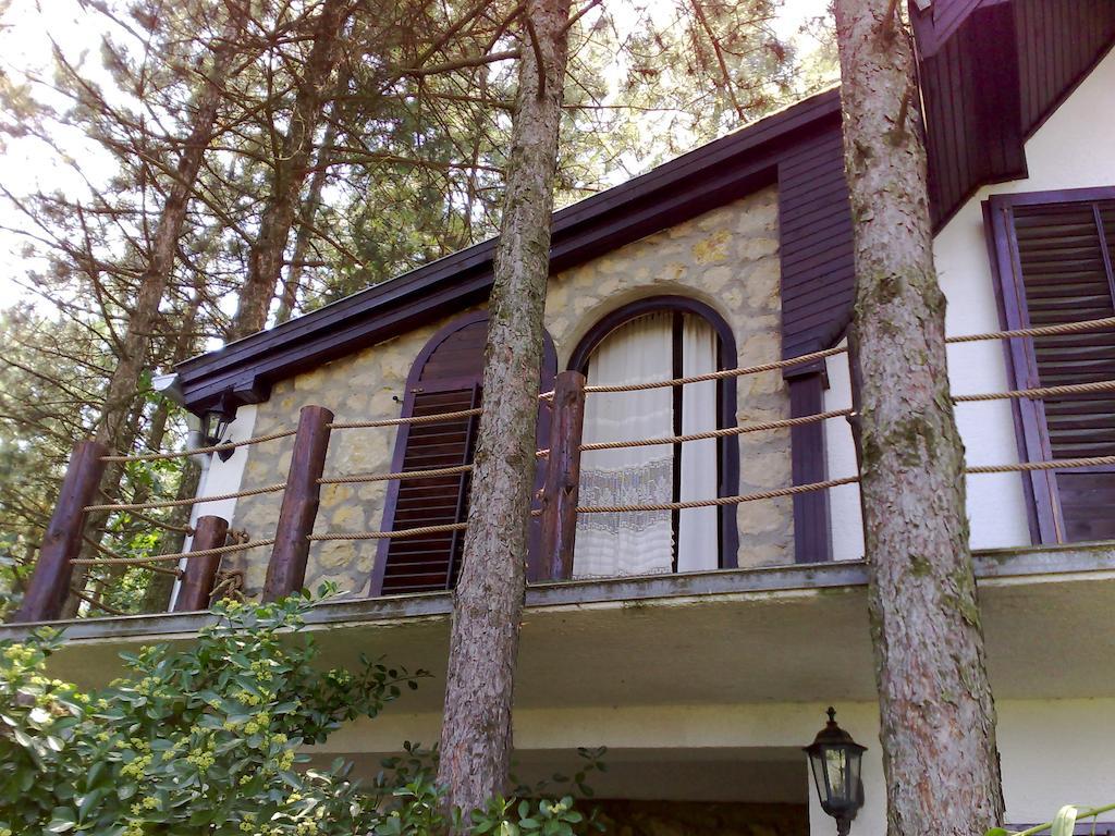 Guesthouse Bajka Vinci Kültér fotó