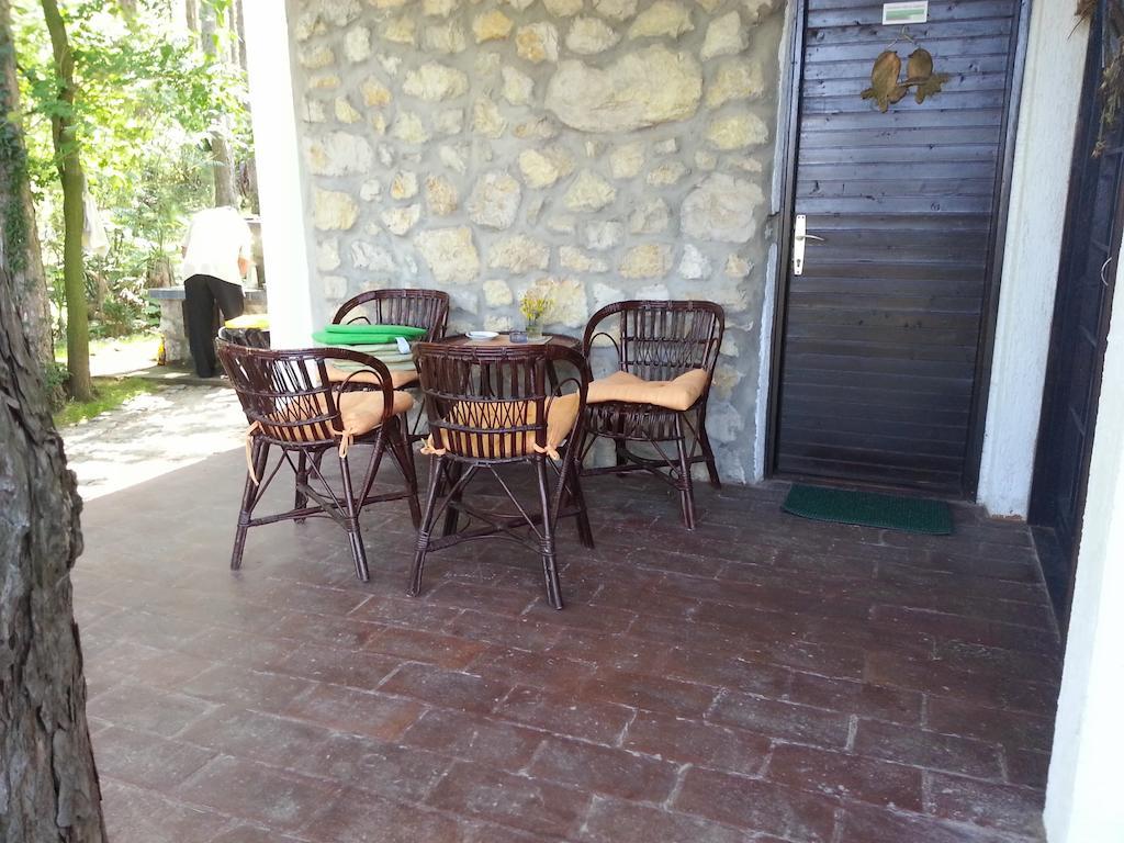 Guesthouse Bajka Vinci Kültér fotó