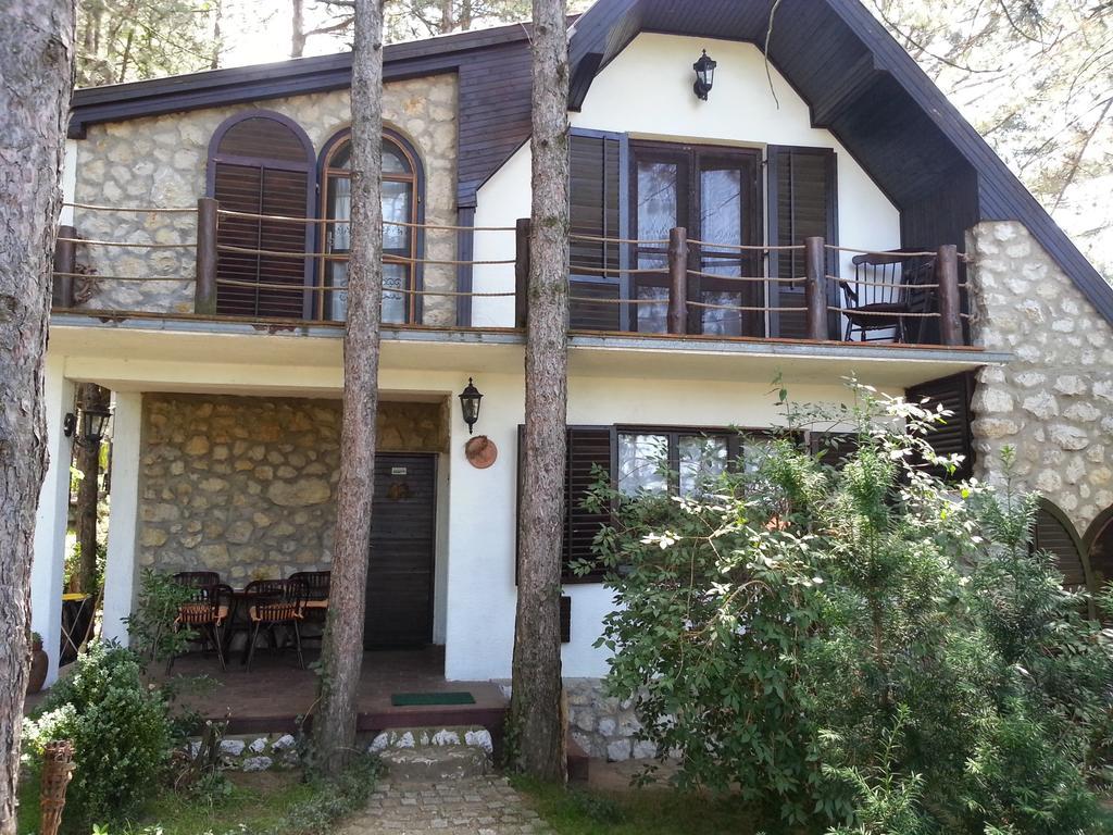 Guesthouse Bajka Vinci Kültér fotó
