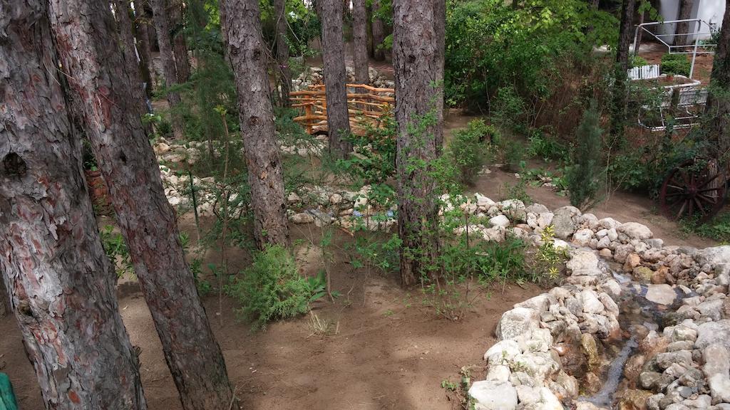 Guesthouse Bajka Vinci Kültér fotó