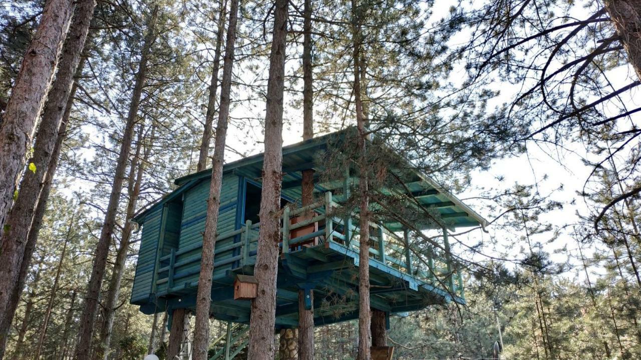 Guesthouse Bajka Vinci Kültér fotó