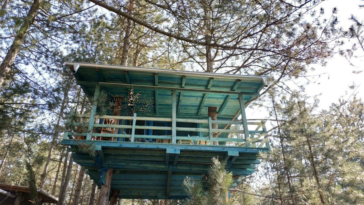 Guesthouse Bajka Vinci Kültér fotó