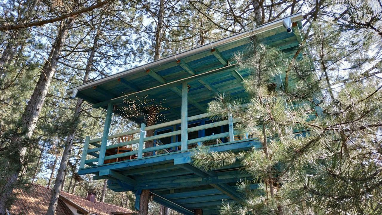 Guesthouse Bajka Vinci Kültér fotó