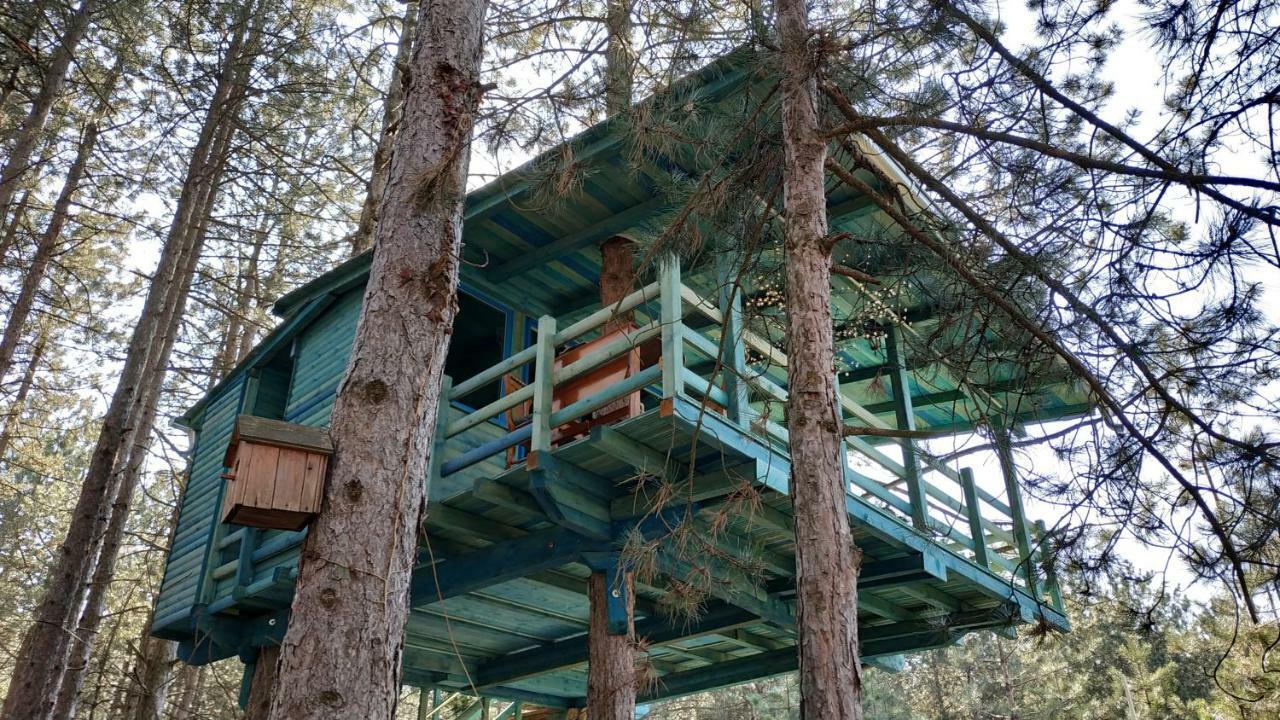 Guesthouse Bajka Vinci Kültér fotó