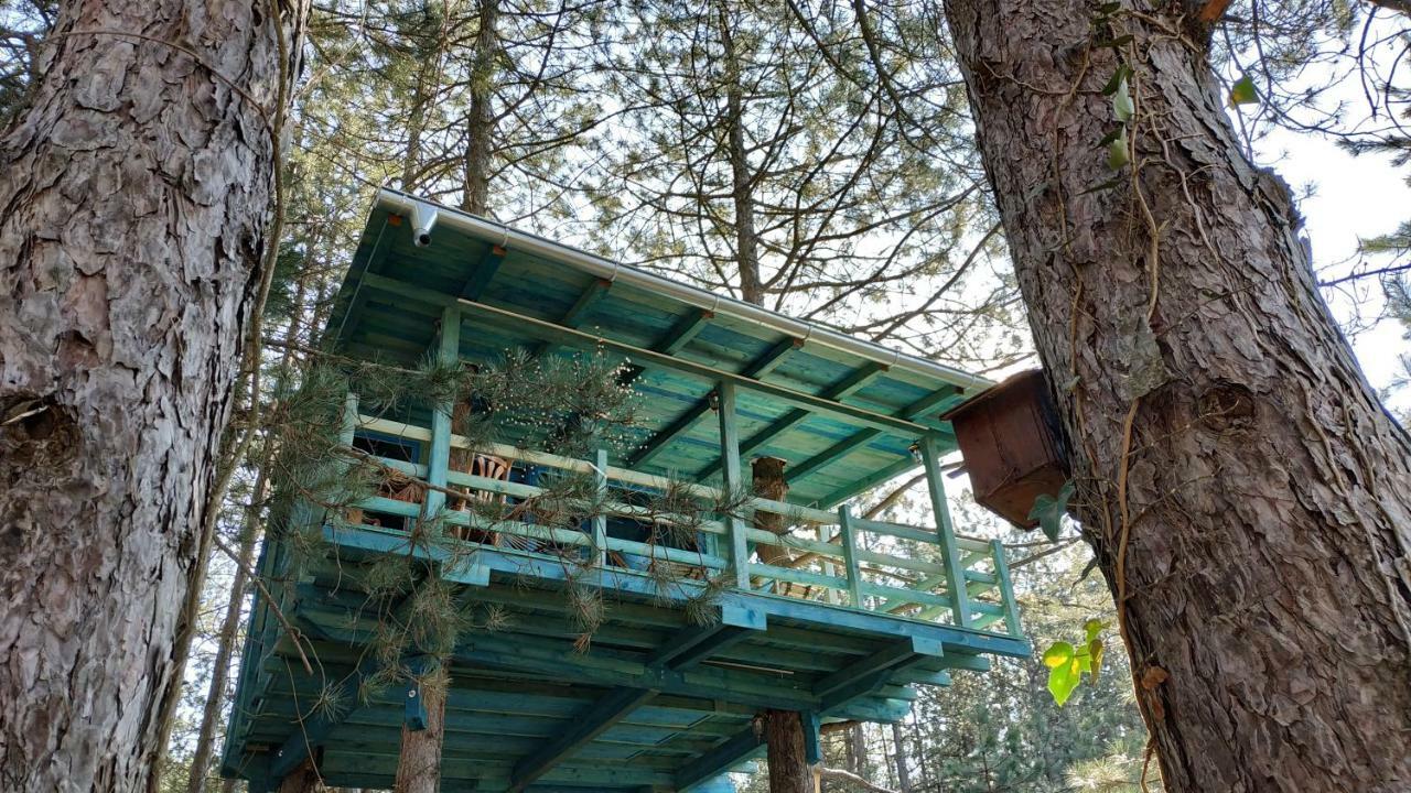 Guesthouse Bajka Vinci Kültér fotó